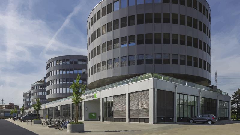 Schmerzen am Bewegungsapparat